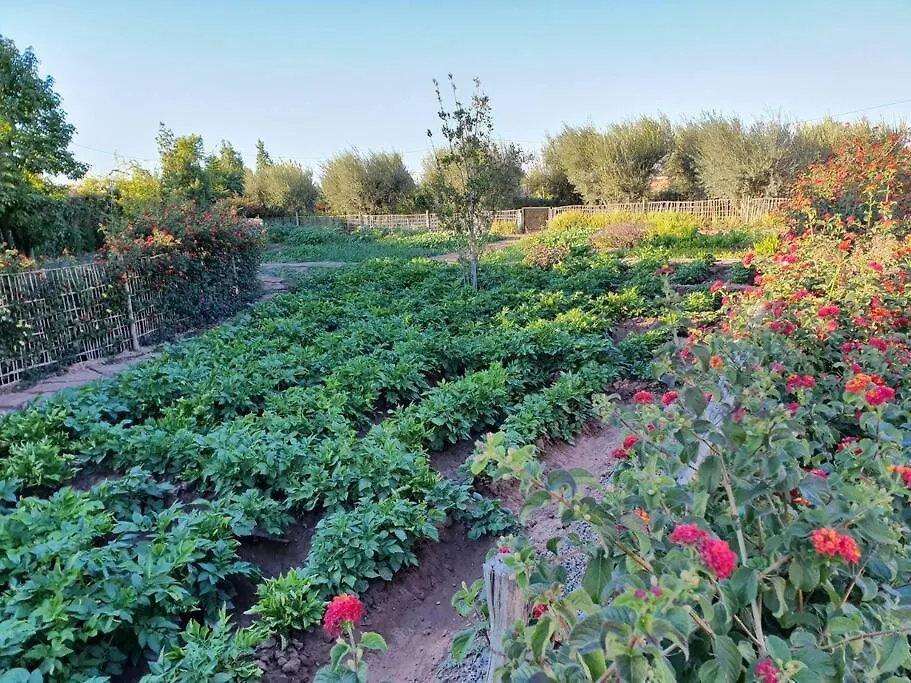 Dar Lalla Mhalla Villa 975M2 5Ch - Rt De Fes Marrakesh 0*,